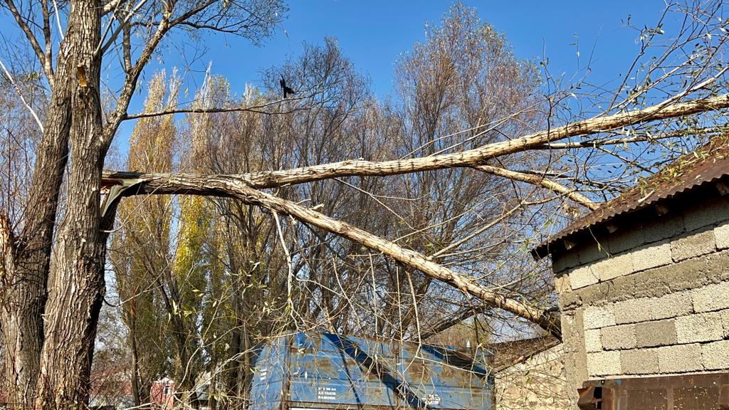 Ağrı'da vatandaşı kış telaşı sardı