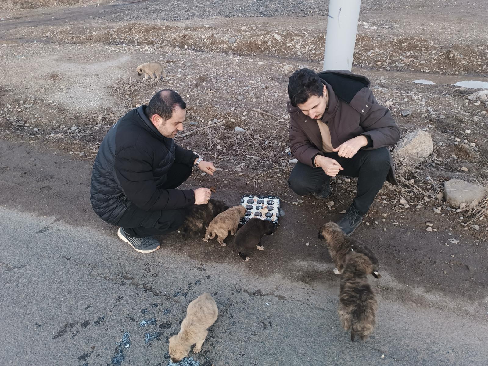 (Videolu Haber) Annesiz kalan yavru köpeklere Ağrılı vatandaş sahip çıktı