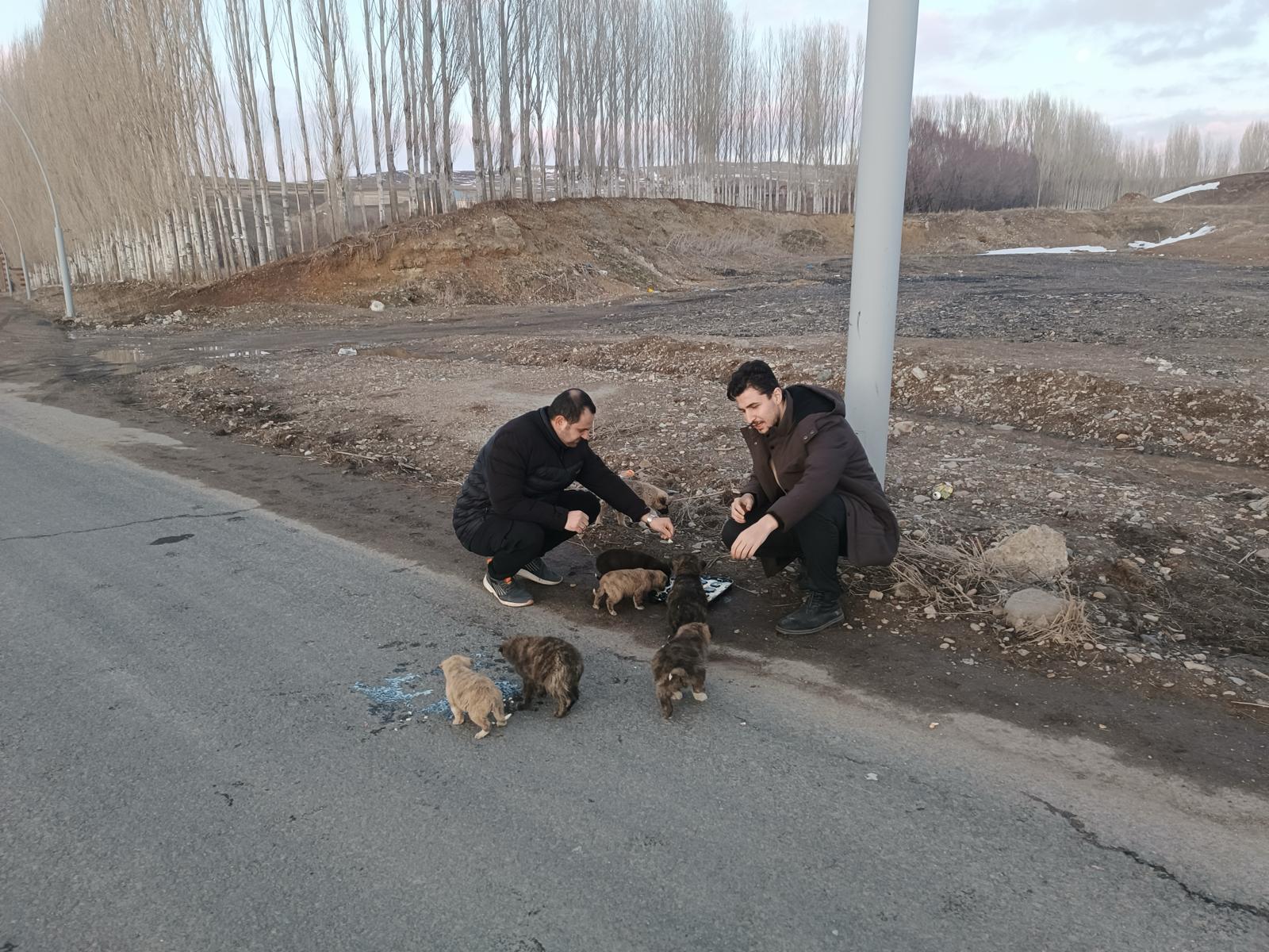 (Videolu Haber) Annesiz kalan yavru köpeklere Ağrılı vatandaş sahip çıktı