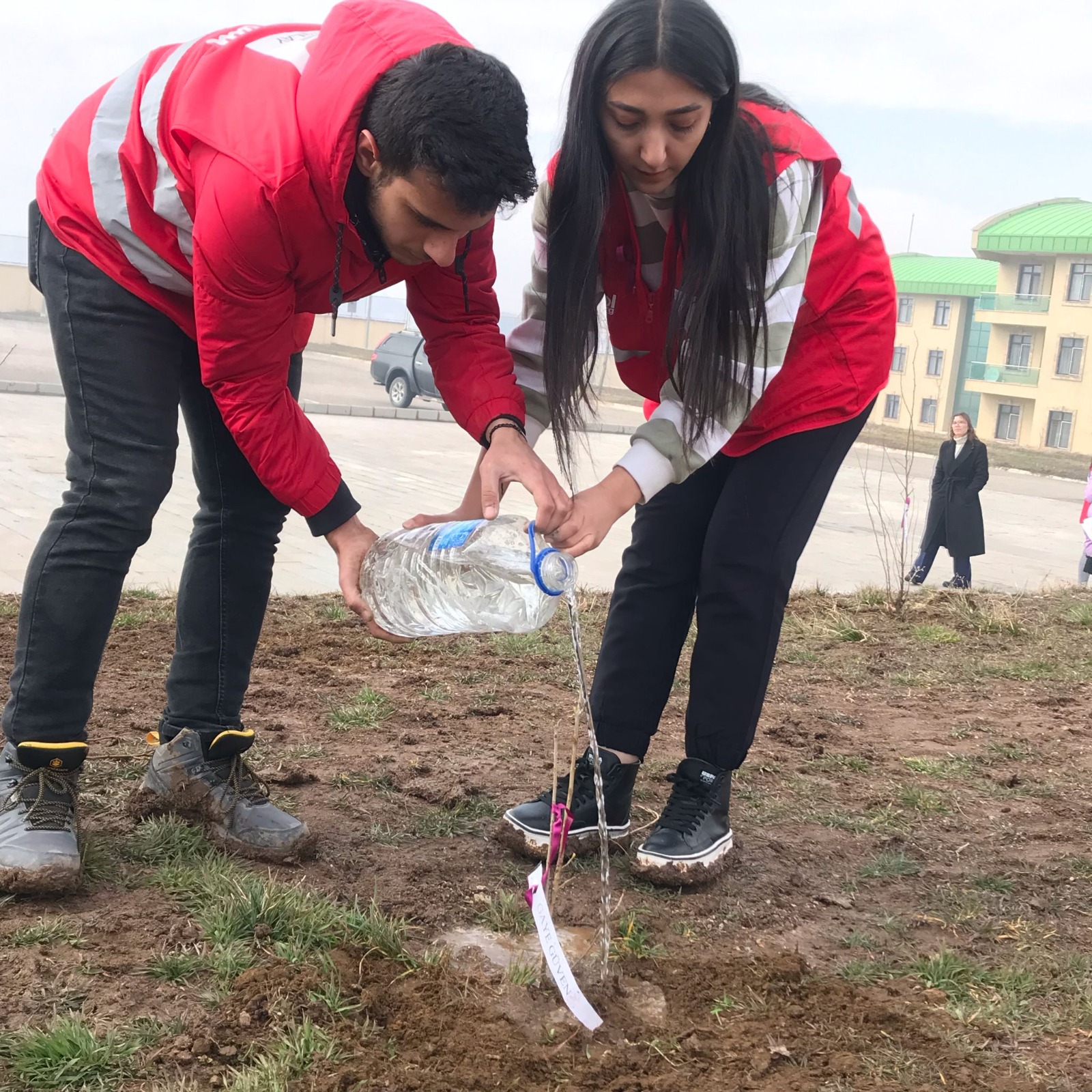 Doğubayazıt’ta 8 Mart Dünya Kadınlar Günü'nde fidan dikildi
