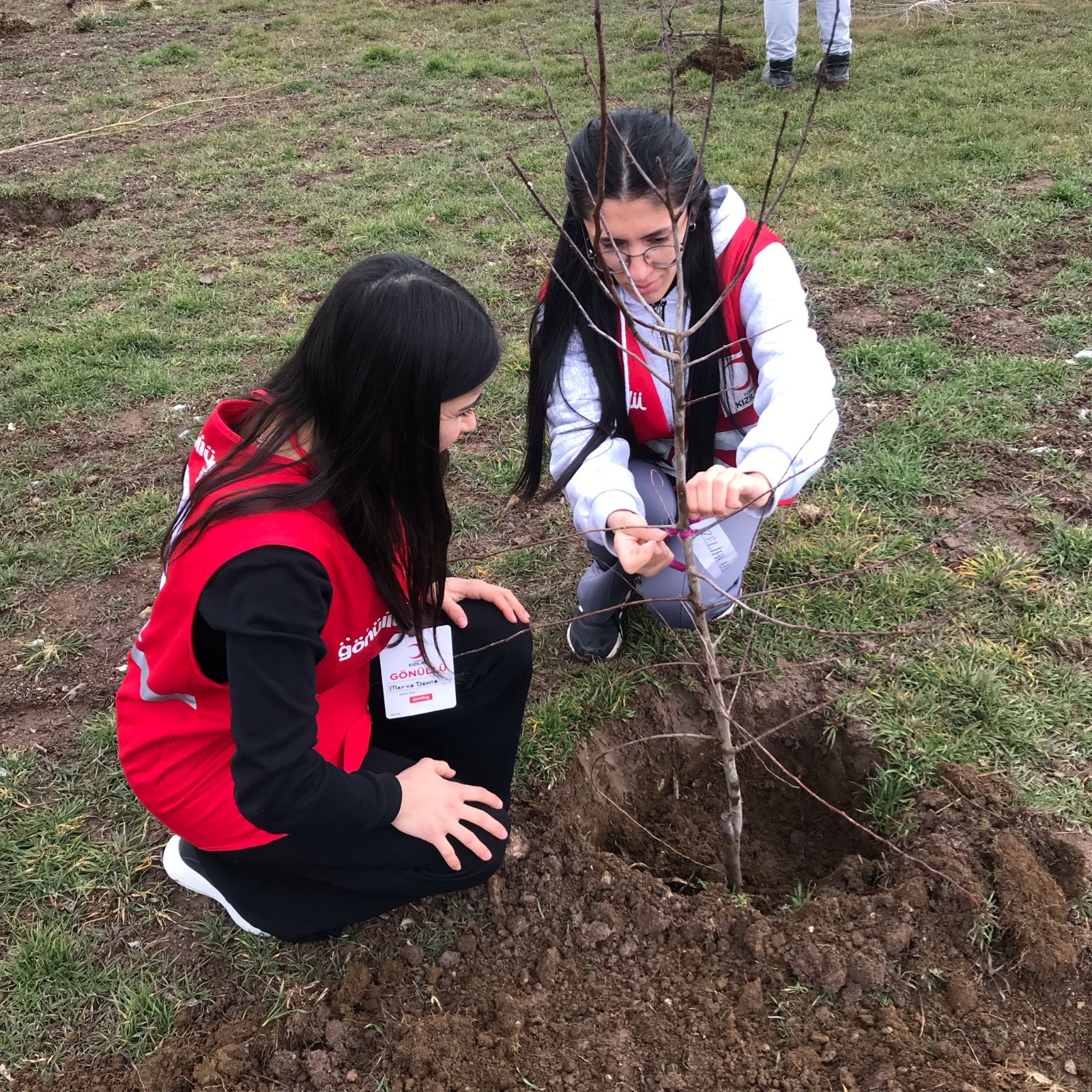 Doğubayazıt’ta 8 Mart Dünya Kadınlar Günü'nde fidan dikildi
