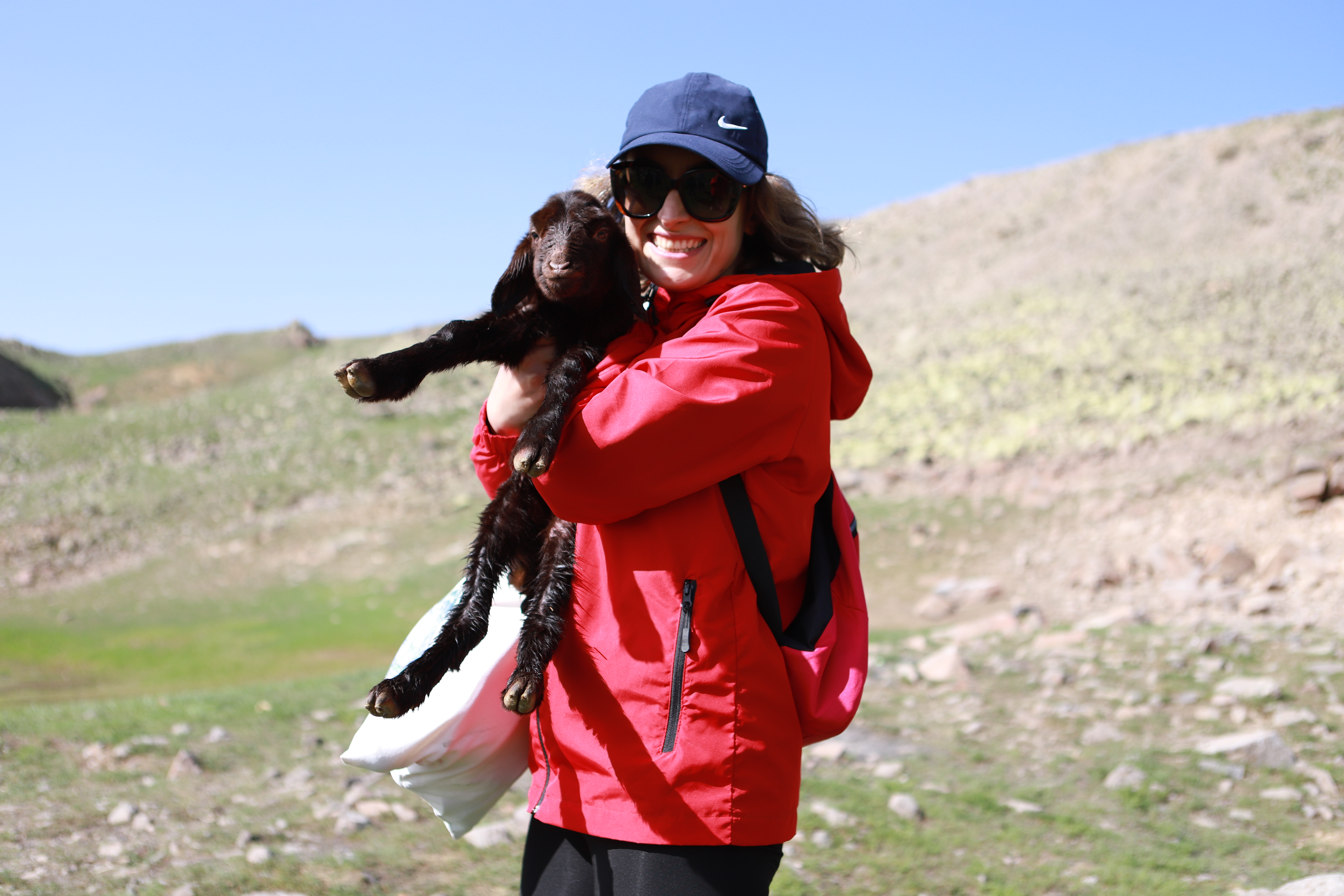 Ağrı'nın 2 bin 700 rakımında doğan kuzuya "Zeytin" adı verildi