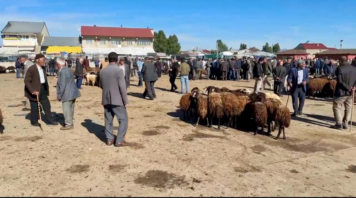 (Videolu Haber) Ağrı Hayvan Borsası'nda hareketlilik başladı