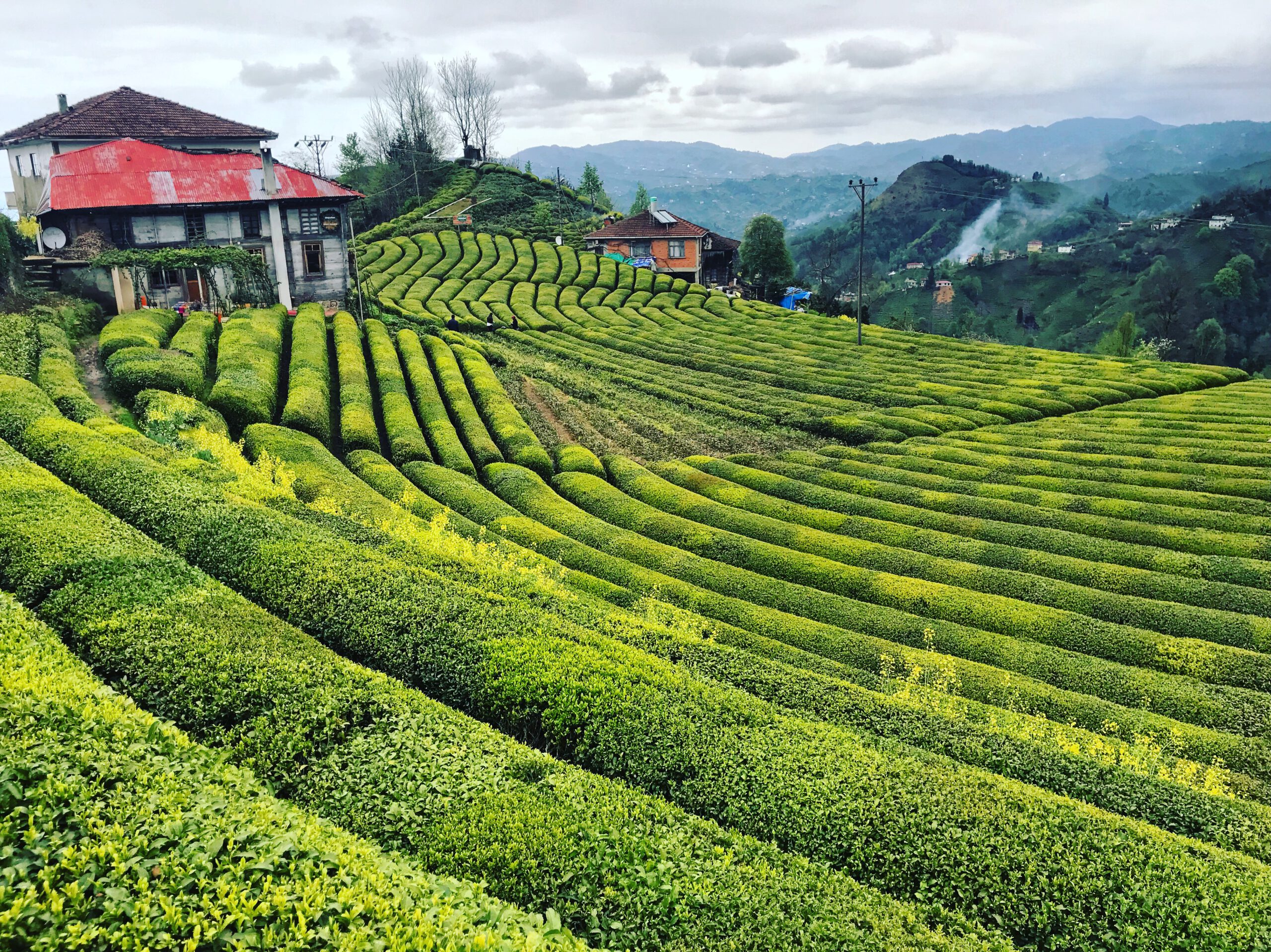 Rize'de ailecek nereye gidilir? Rize'de aileyle gezilecek yerler nerede?