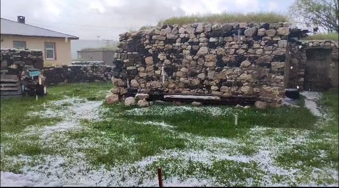 (Videolu Haber) Ağrı ve Diyadin dolu yağışı ile beyaza büründü