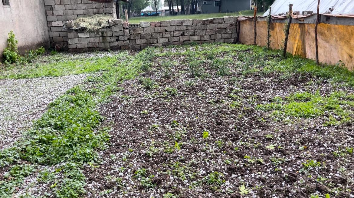 (Videolu Haber) Ağrı ve Diyadin dolu yağışı ile beyaza büründü