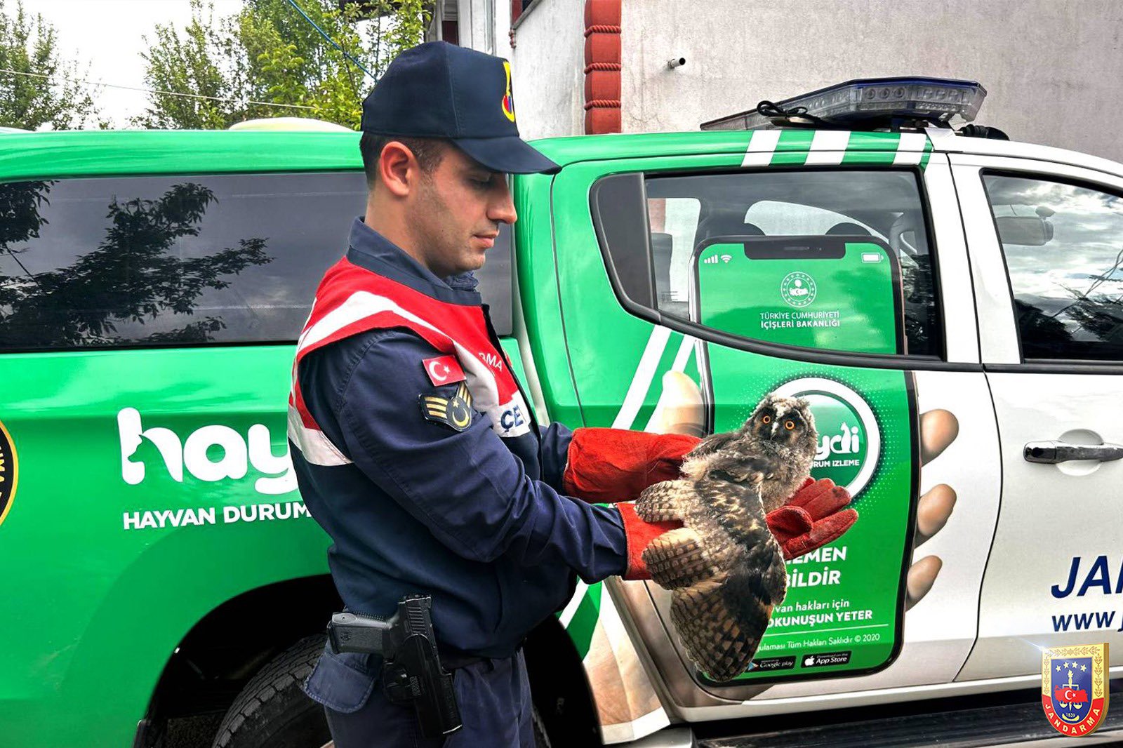 Ağrı Jandarma ekipleri, doğadaki hayvanları sahipsiz bırakmıyor