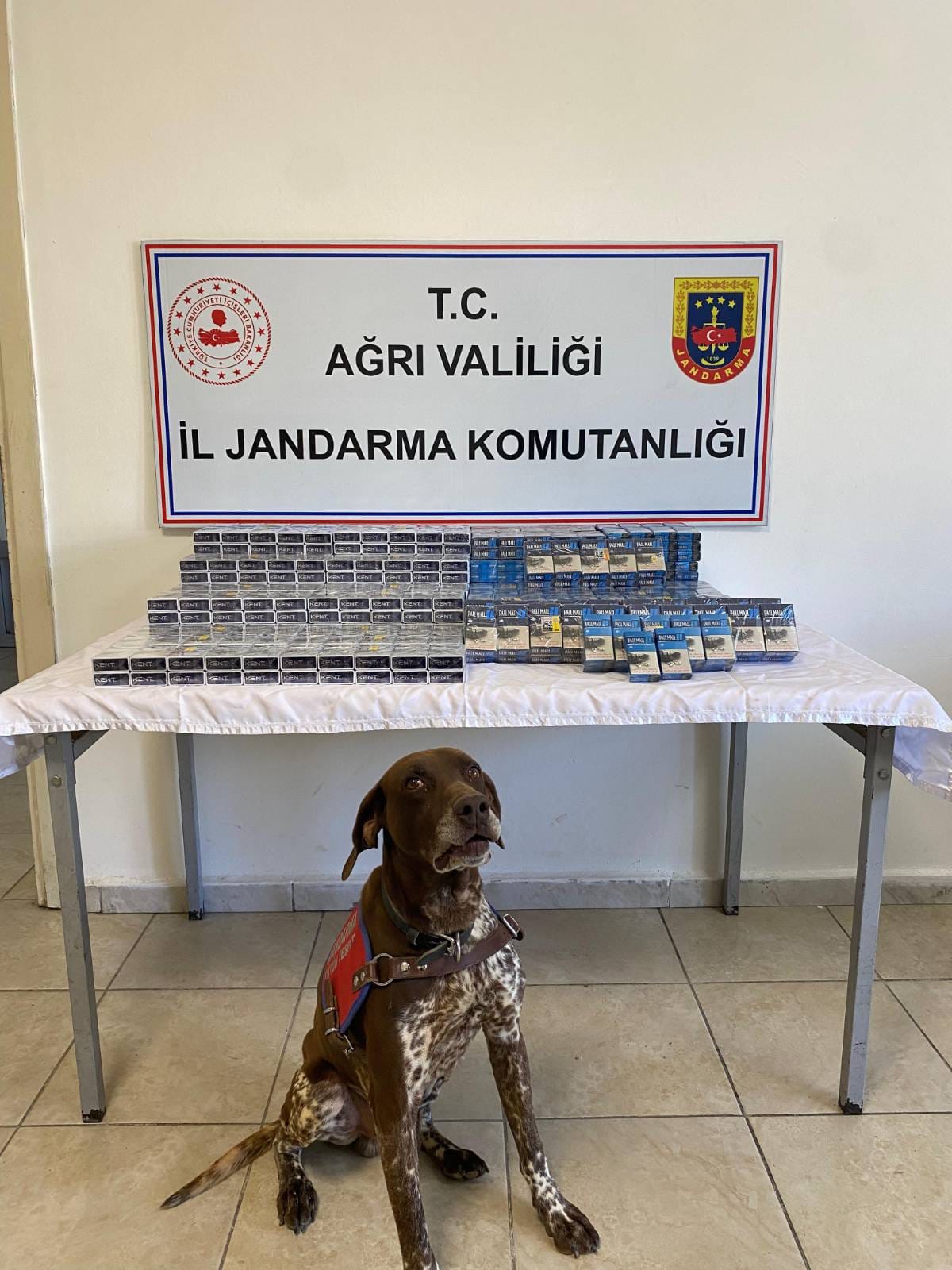 Ağrı’da Gümrük Kaçağı Sigara ele geçirildi