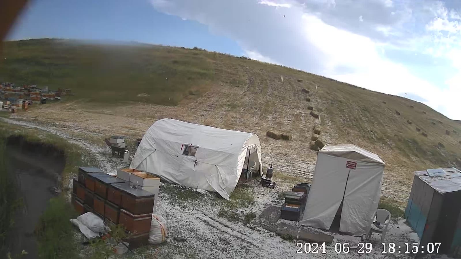 Ağrı'da dolu yağışı ekinlere ve arıcılığa zarar verdi(Videolu haber)