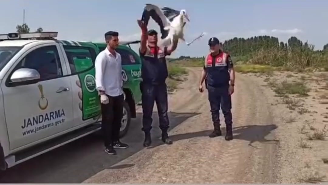 Leylek tedavi altına alındı Sıcaktan bitkin düşen