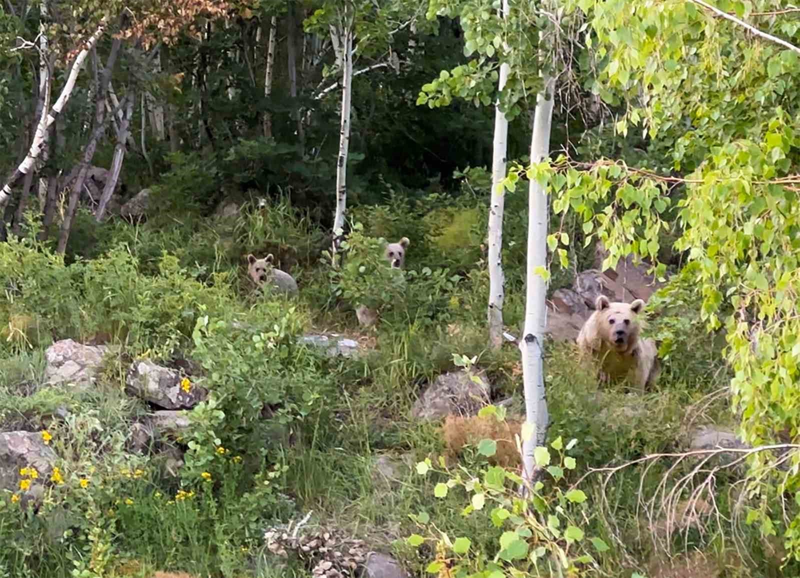 Nemrut Kratergölü misafirleri sürprizle karşılaştı