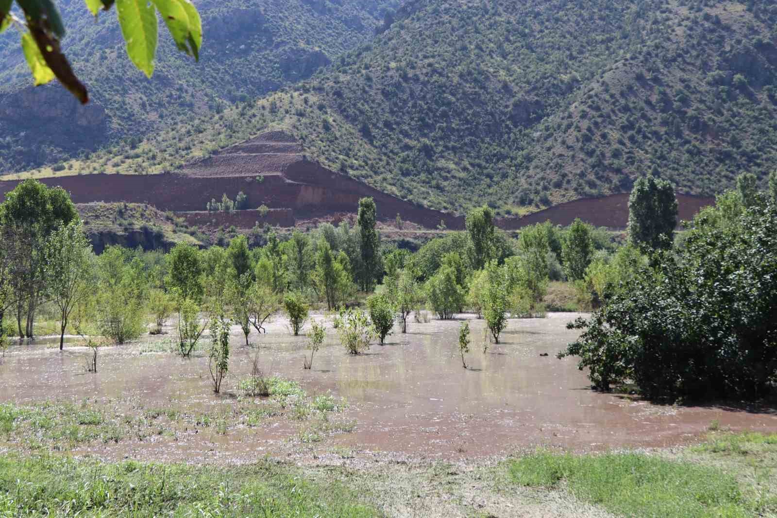Sel karpuz tarlasını yerle bir etti