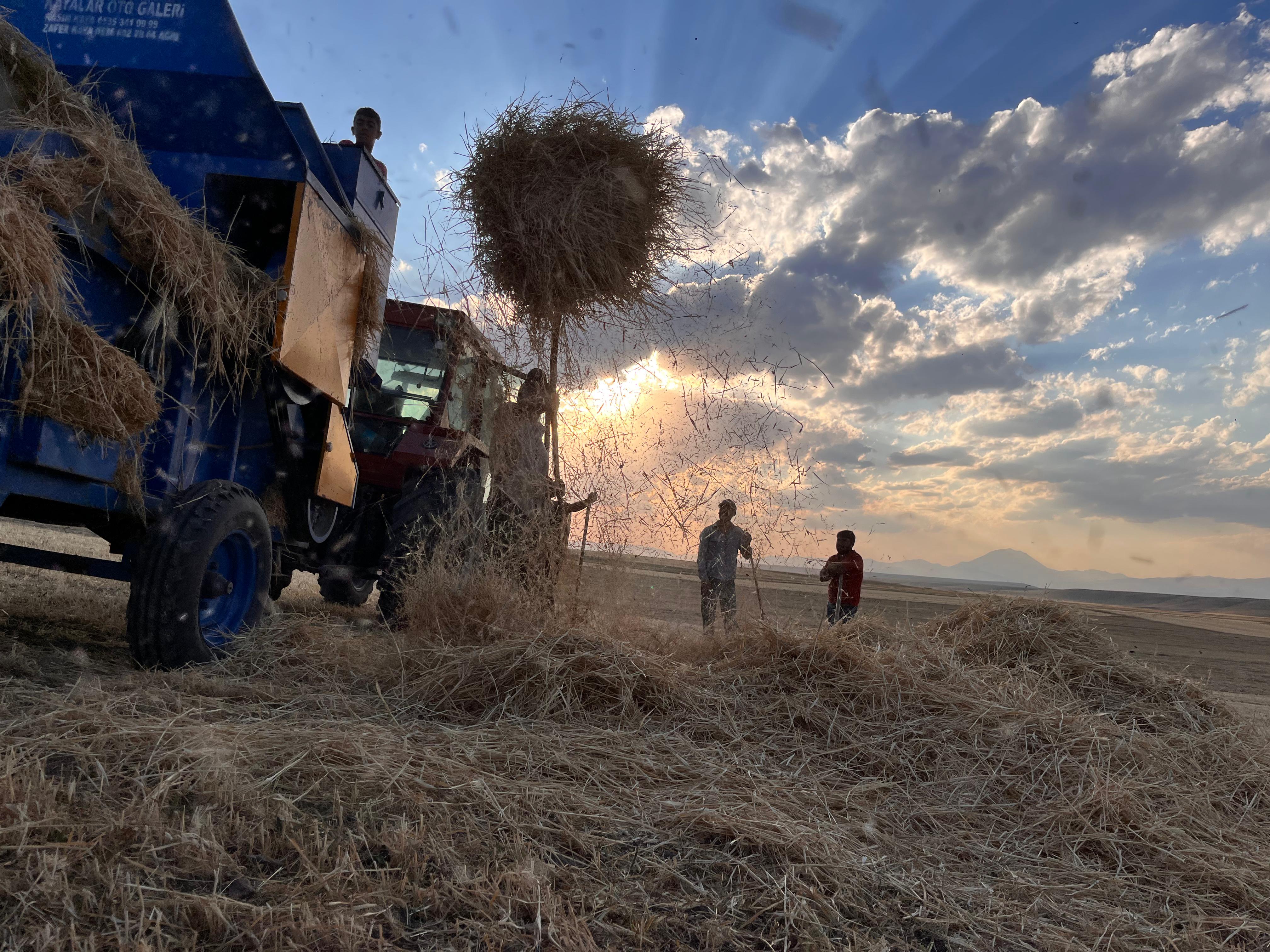 Ağrı'daki çiftçilerin kavurucu sıcaklarda ekmek mücadelesi