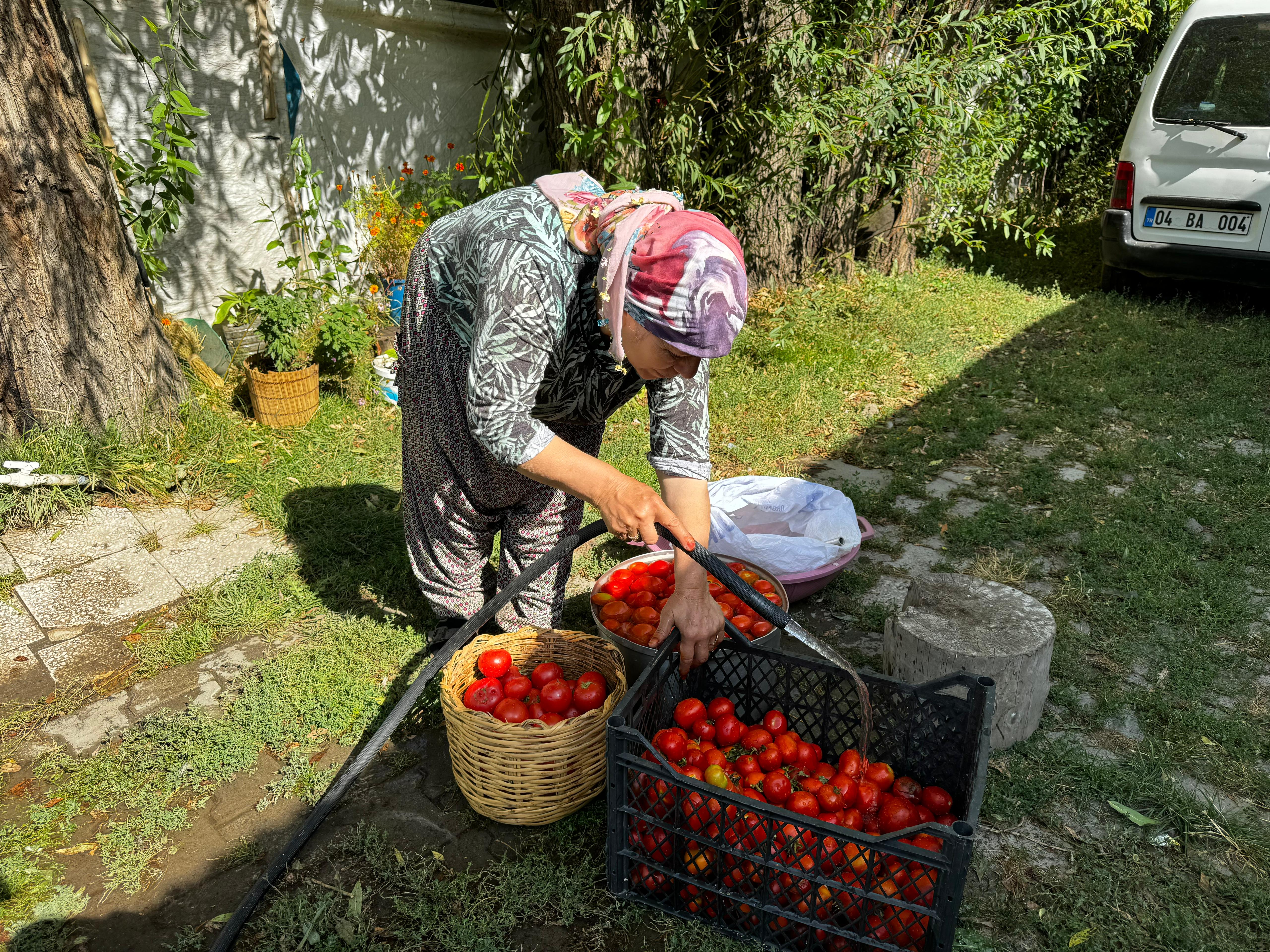 Ağrılı kadınlar bahçelerinde ürettiği domatesleri kışlık salça yaptı
