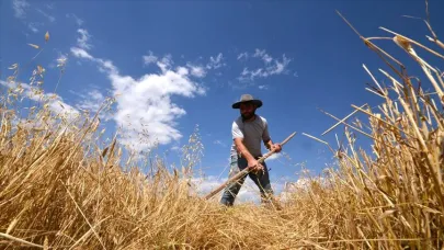 Hasad Öncesi Rekor Ücret: 33 Günde 90 Bin TL Kazanacak!