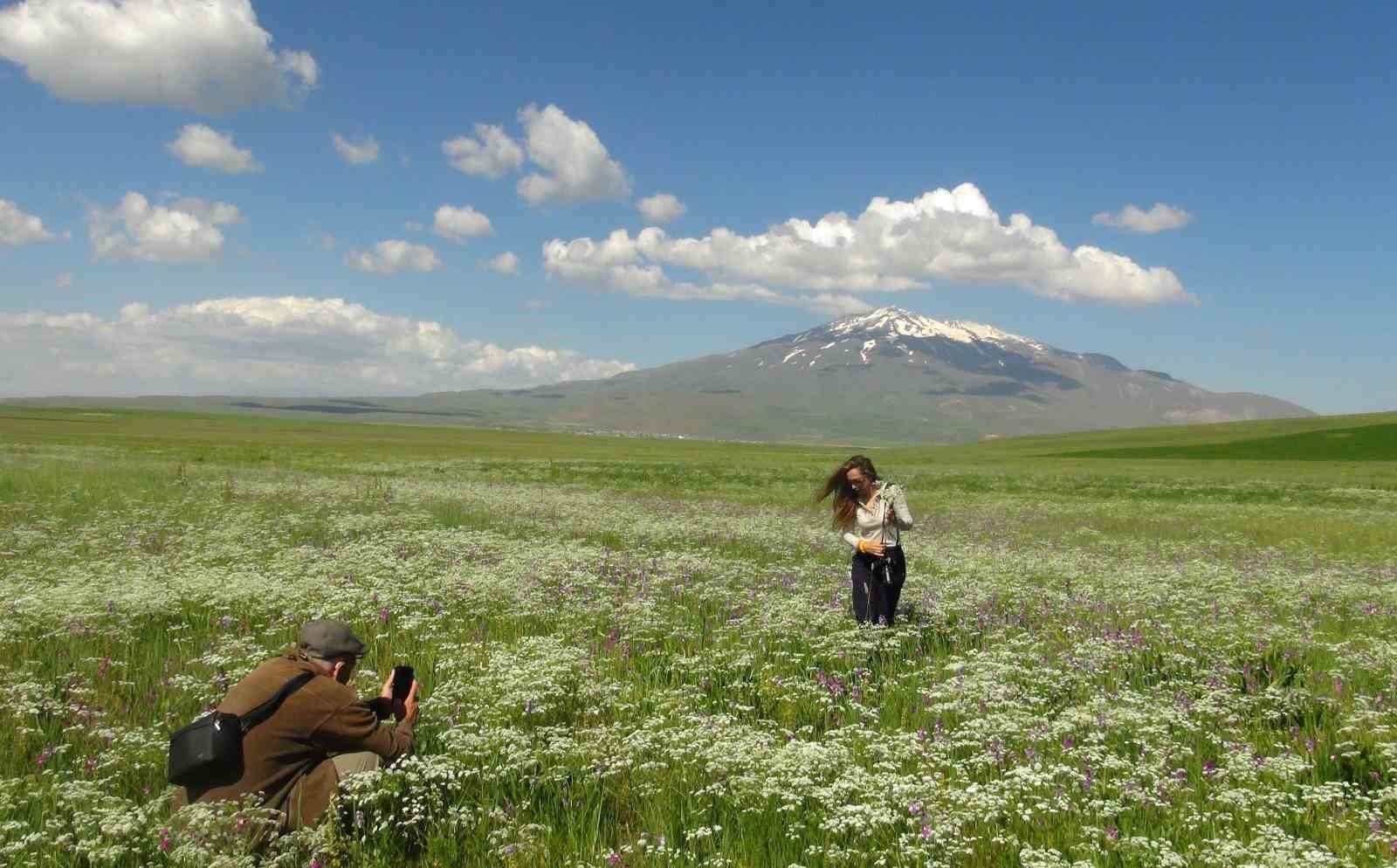 Bahar çiçekleriyle renklenen Sütey Yaylası ve Süphan Dağı hayranlık uyandırıyor