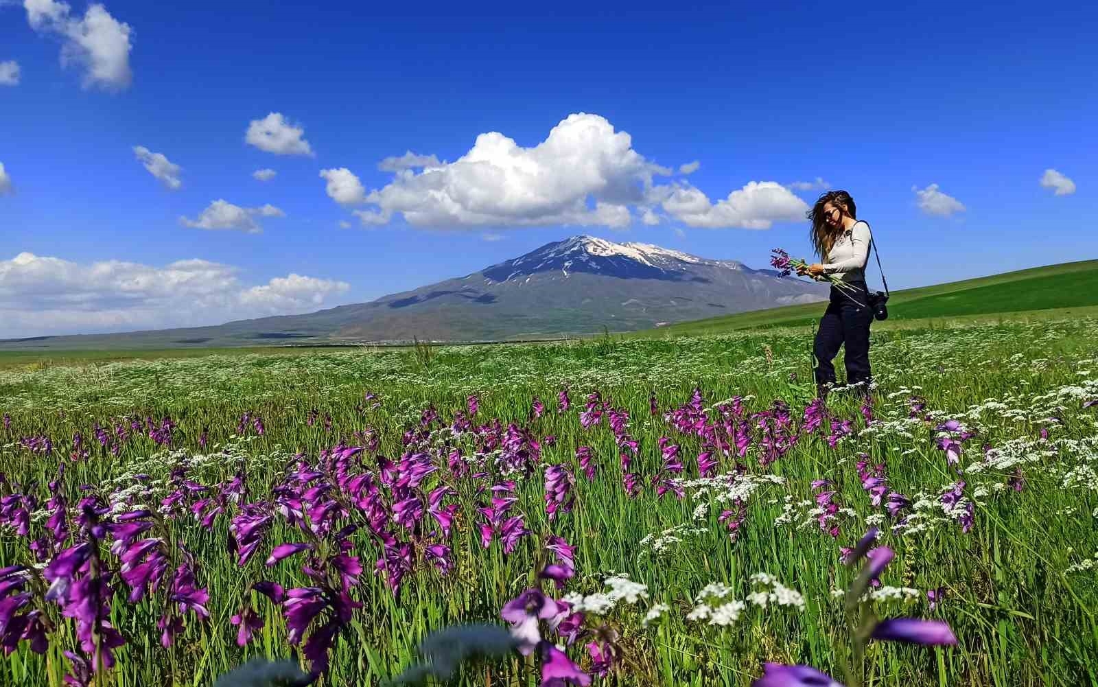 Bahar çiçekleriyle renklenen Sütey Yaylası ve Süphan Dağı hayranlık uyandırıyor