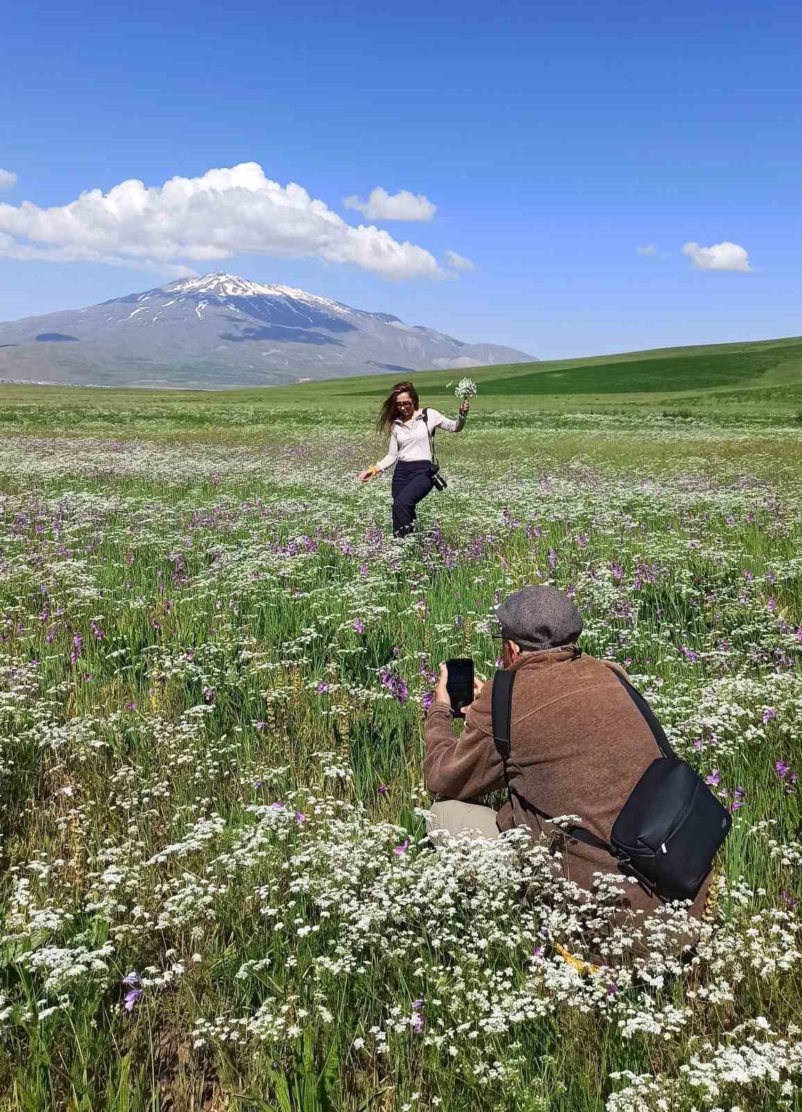 Bahar çiçekleriyle renklenen Sütey Yaylası ve Süphan Dağı hayranlık uyandırıyor