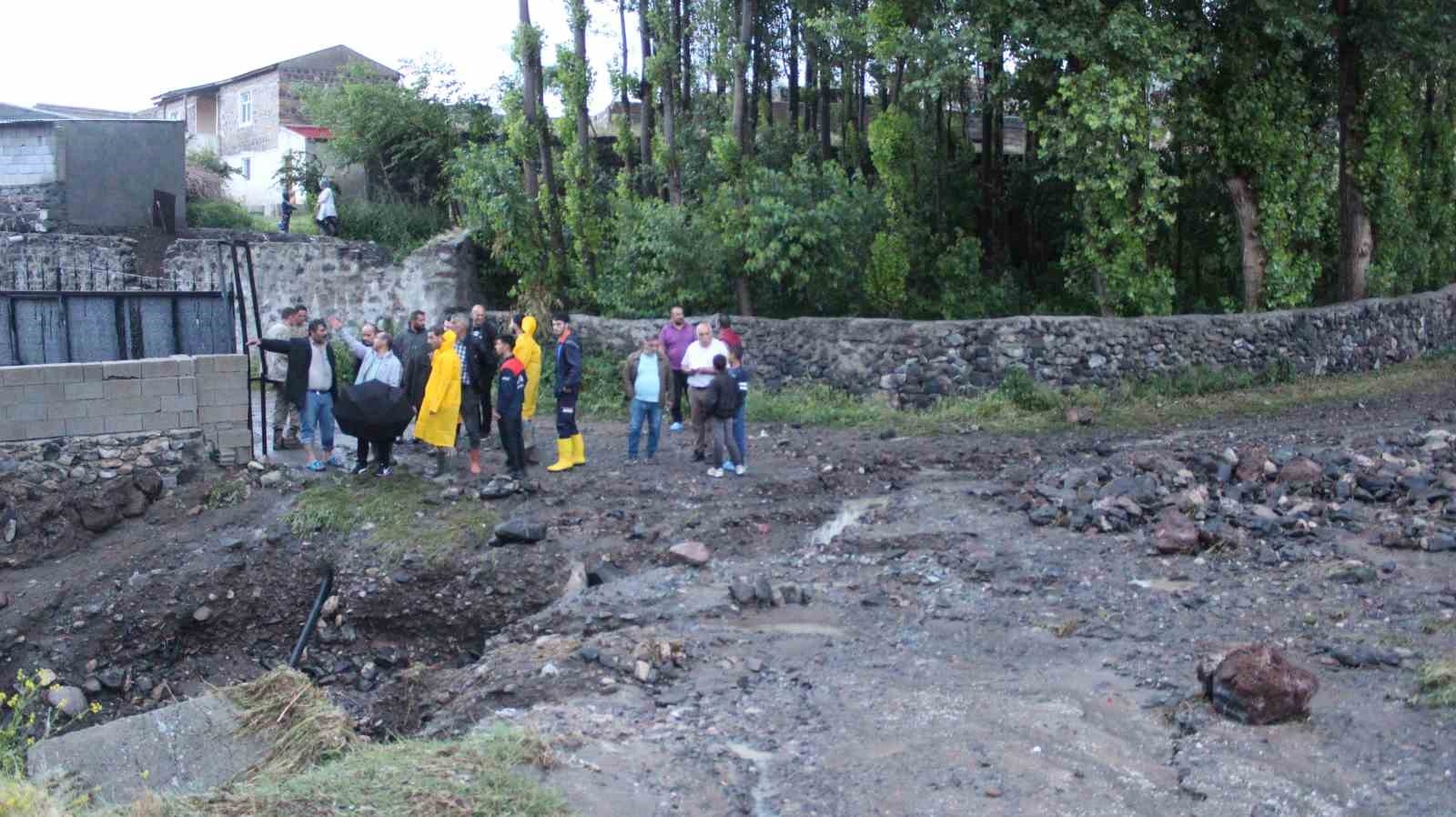 Iğdır'da sağanak sele neden oldu