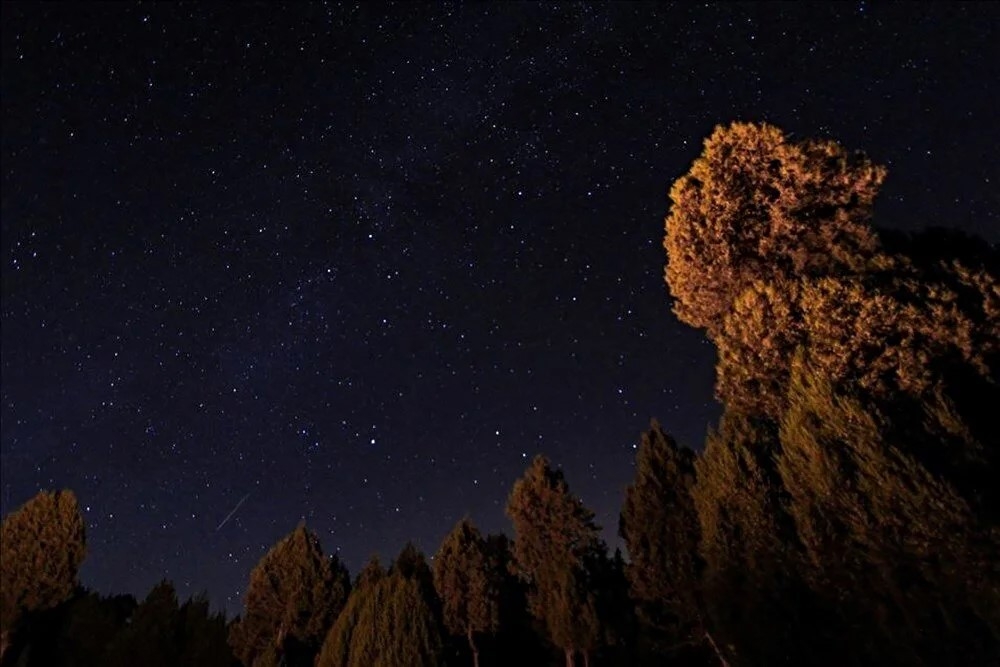 2023/08/perseid-meteor-yagmuru-ataturk-universitesinde-heyecanla-izlendi-20230814AW00-3.jpg