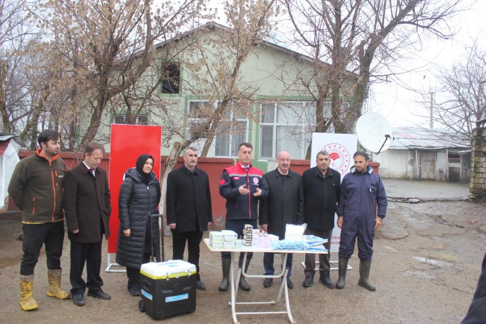 Muş'ta  "Analar Aşılansın Buzağılar Yaşasın" aşılama projesi