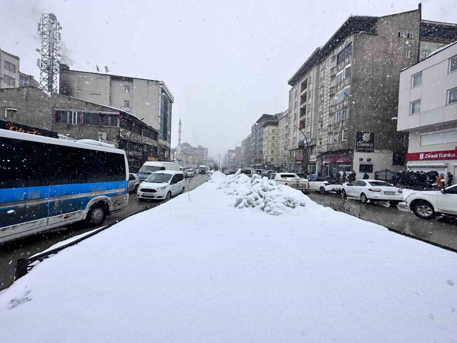 Yüksekovalılar Kamışlı Kayak Pisti'nin kayak merkezine dönüştürülmesini istiyor