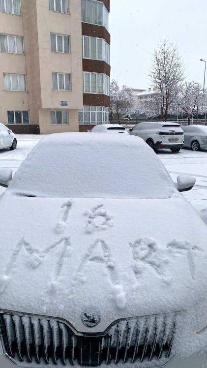Erzurum'da aç kalan tilkiler kent merkezine indi