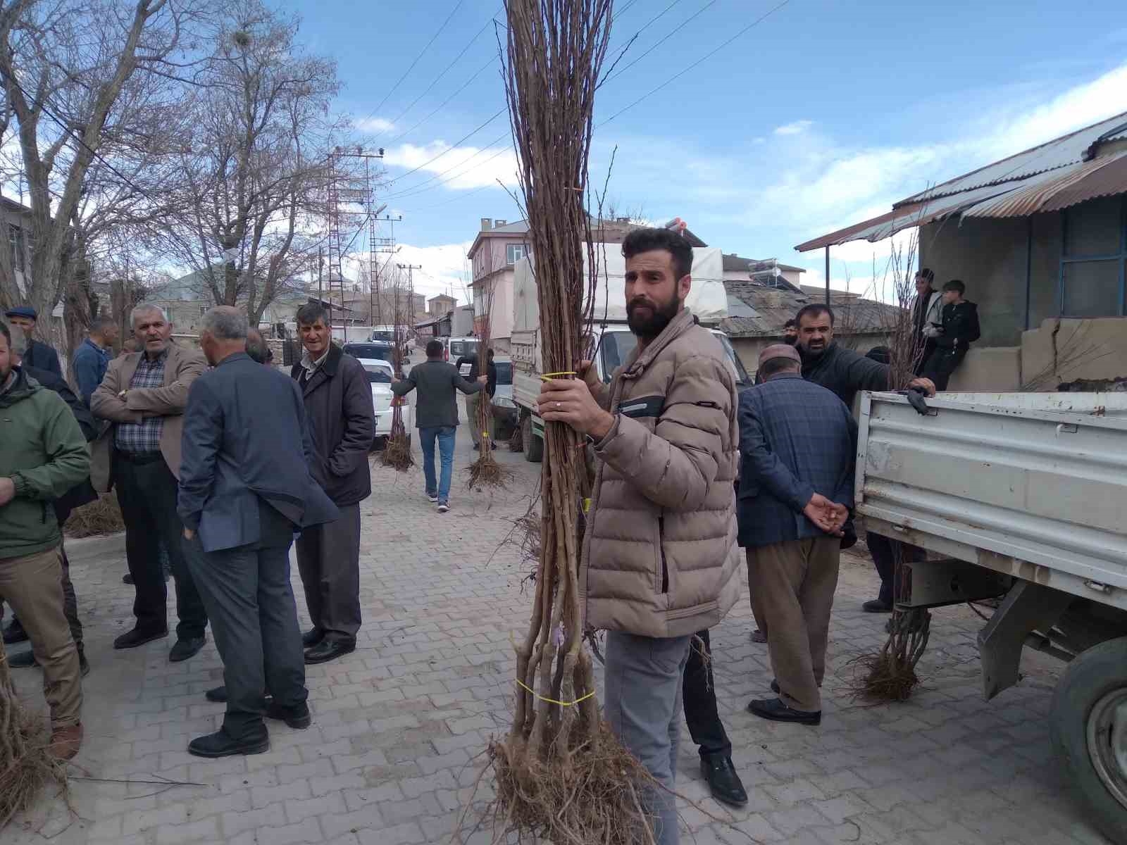 Van'da çiftçilere meyve fidanı dağıtımı