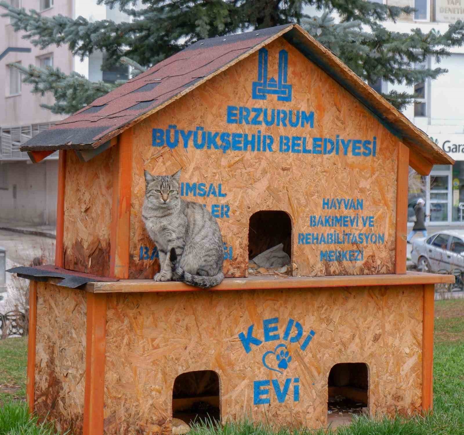 Sekmen; "Her can bize emanet"