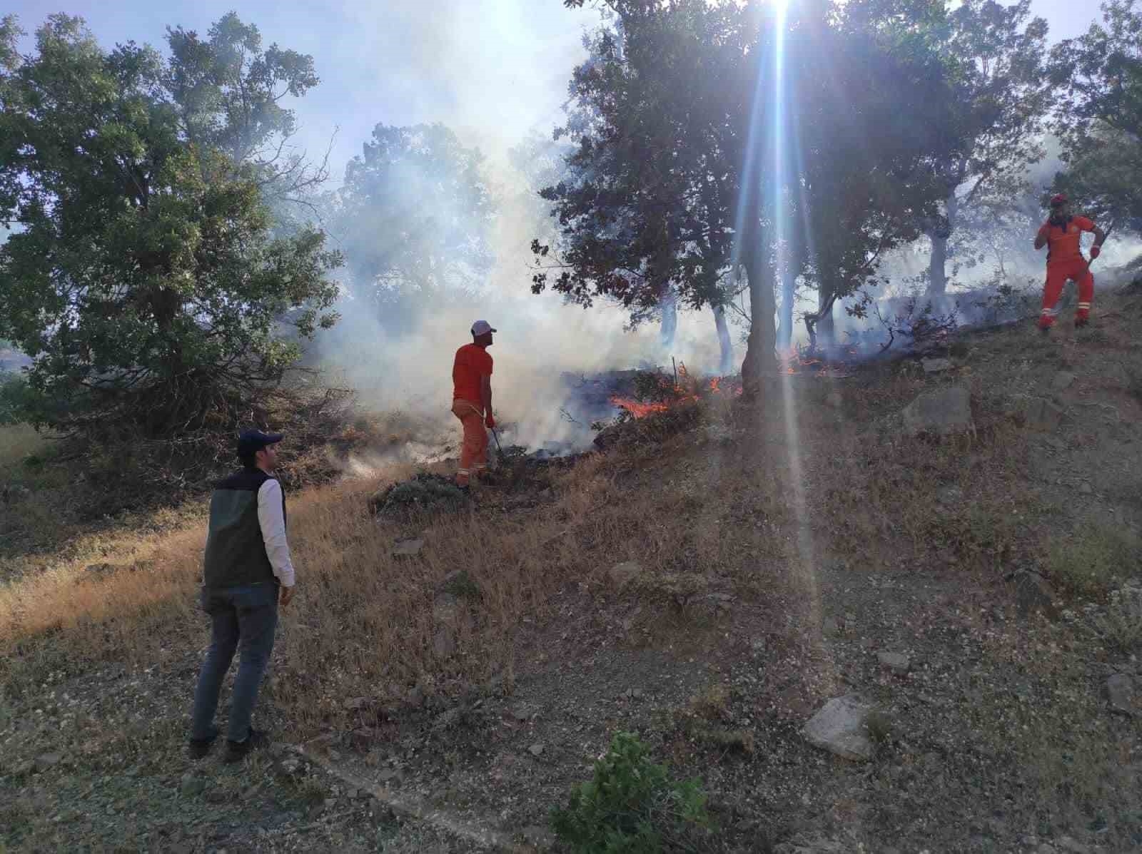 Bingöl'de iki ayrı bölgede çıkan yangınlar söndürüldü