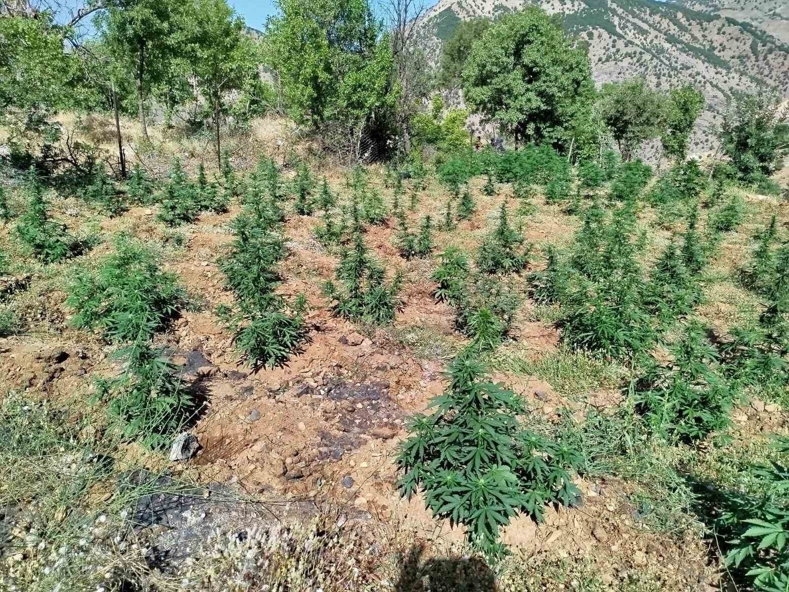 Uyuşturucu madde ele geçirildi Bingölde