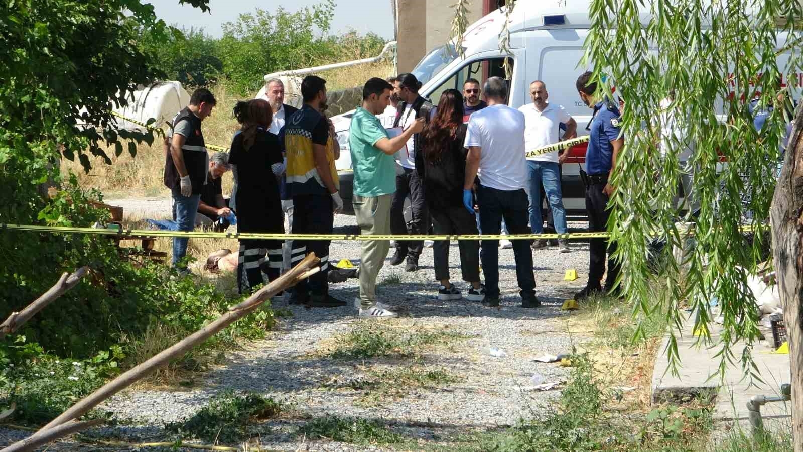 Tavuk çiftliğinde cinayet