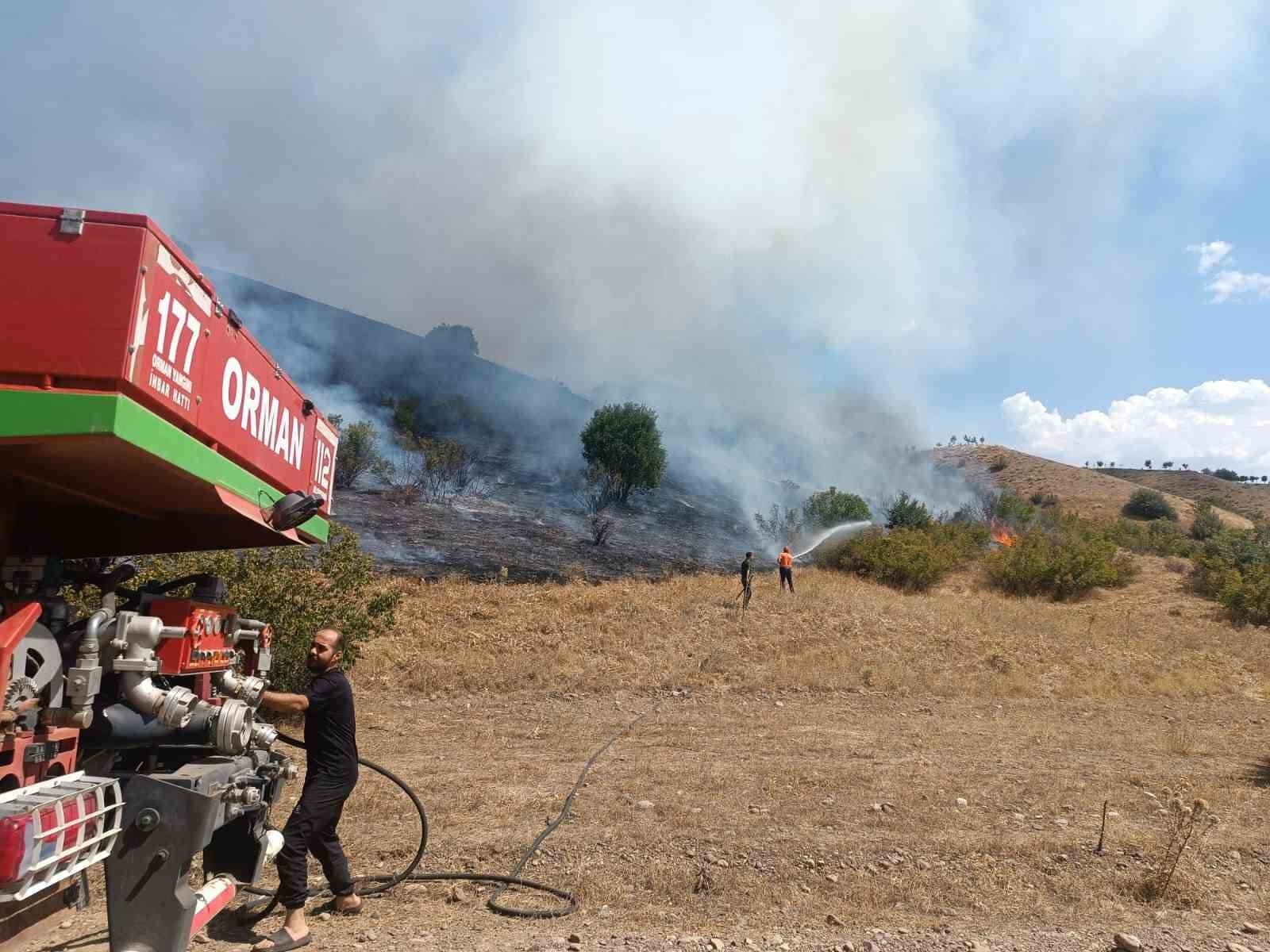 Bingöl'de çıkan orman yangını evlere sıçramadan söndürüldü