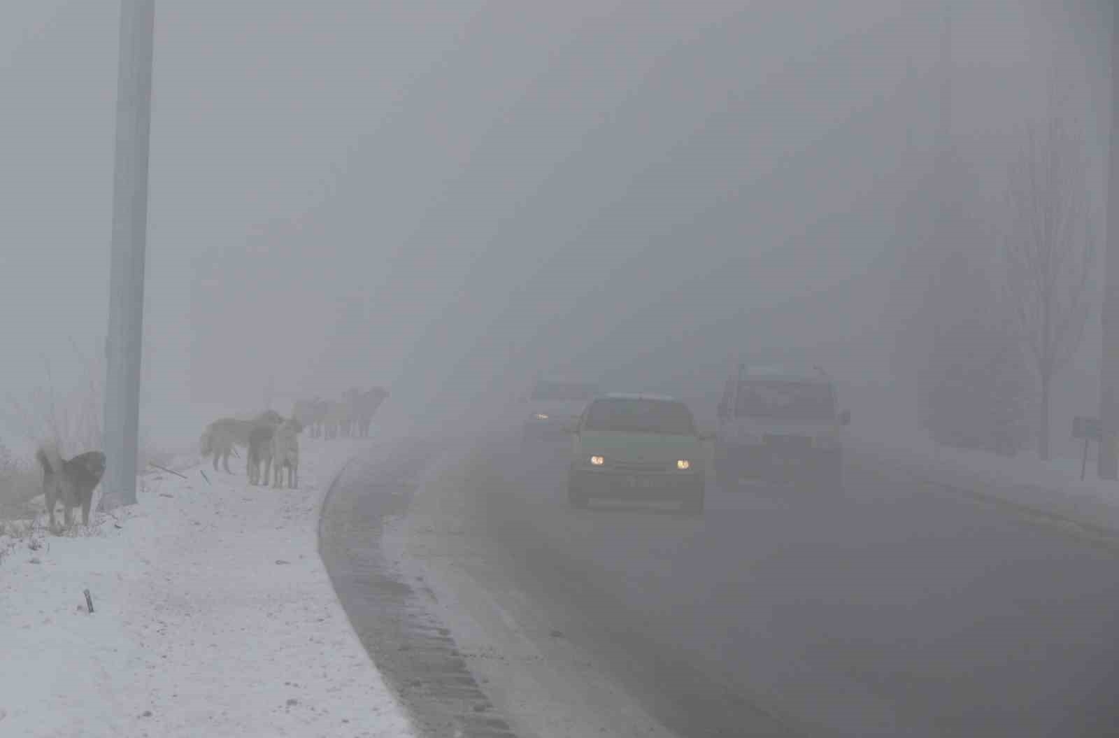 Erzincan güne sisle uyandı