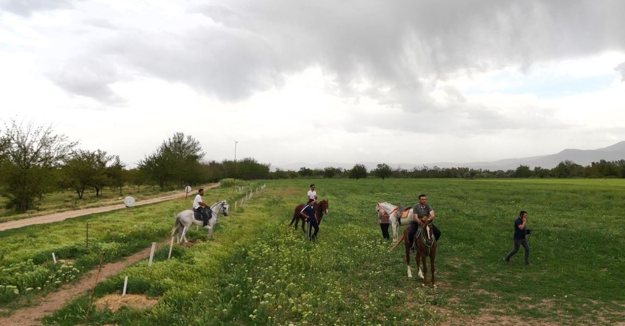 Deprem sonrası doğayla buluşma: Malatya’da atlı terapiye ilgi artıyor
