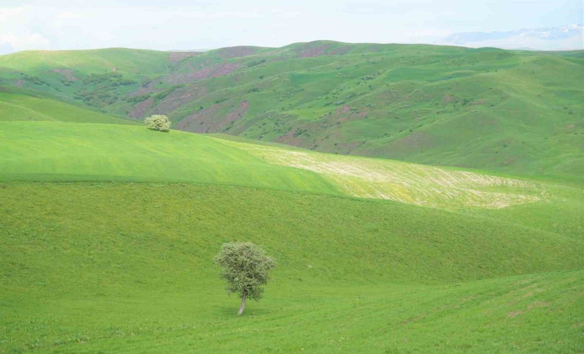Muş Valisi Avni Çakır, doğaseverlere eşlik ederek Korkut’un gizli kalmış güzelliklerini keşfetti