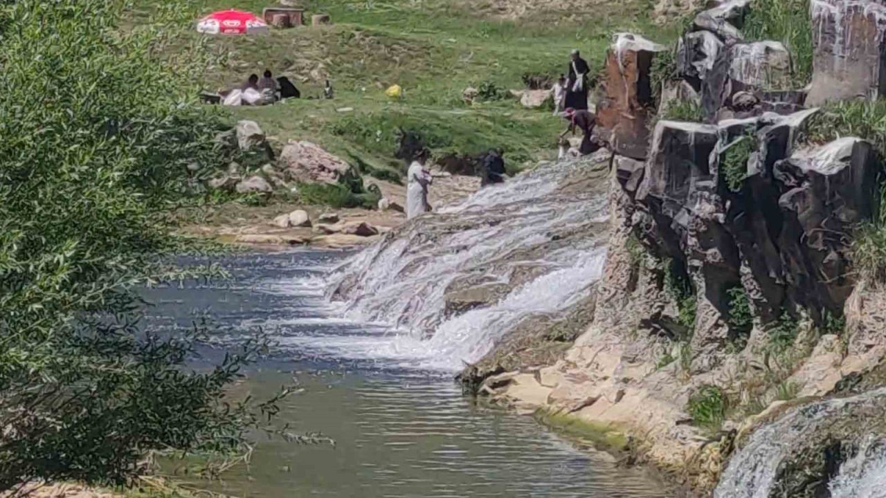 İnci kefalinin yumurta bırakmak için 23 kilometrelik serüveni