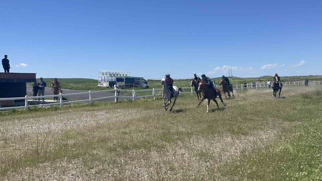 At yarışması Düzenlendi Malazgirt'te