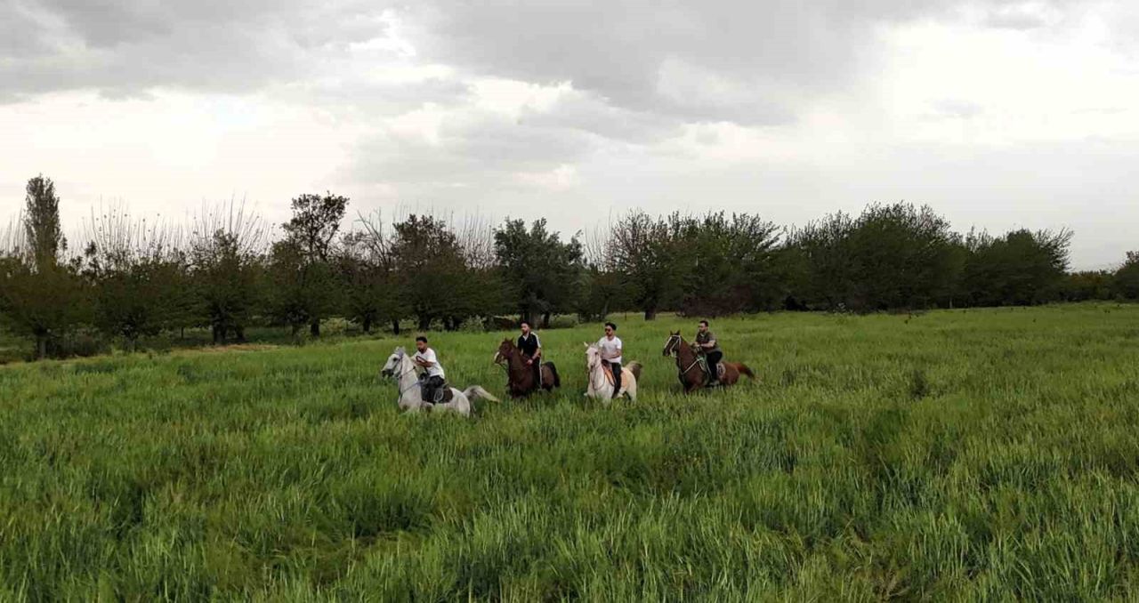 Deprem sonrası doğayla buluşma: Malatya’da atlı terapiye ilgi artıyor
