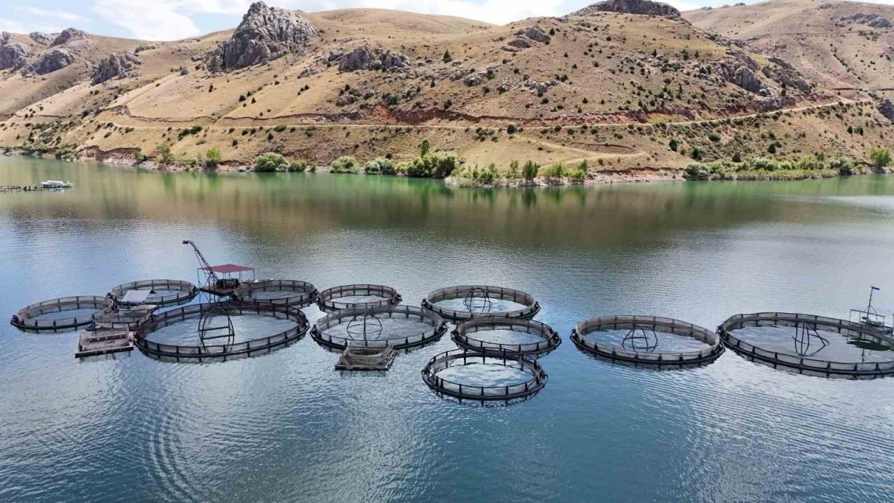 Barajlardaki doluluk oranı yüzde yüz sevyesinde