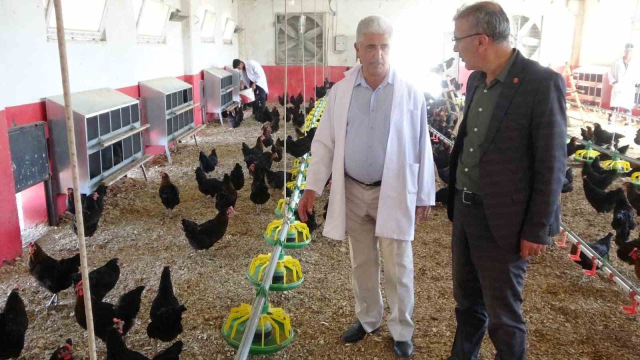 Çiftlik gibi okul