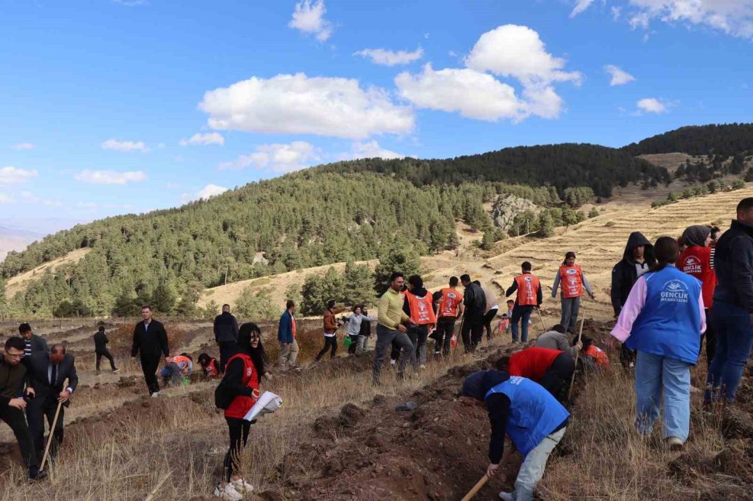 Erzurum Oltu’da 5 bin fidan toprakla buluştu
