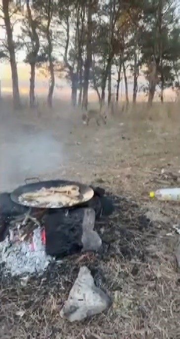 Kars’ta tilkiler yerleşim yerlerinde cirit atıyor