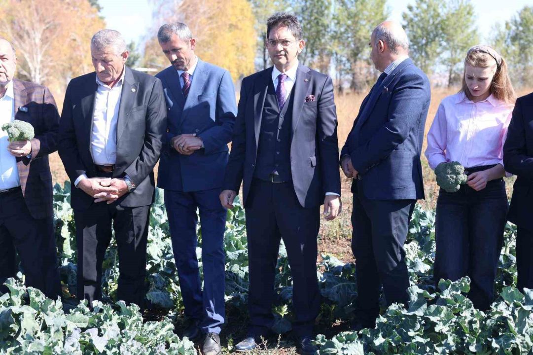 Erzurum’da tarımda yeni bir dönem: İkinci ürün Brokoli hasadı gerçekleştirildi