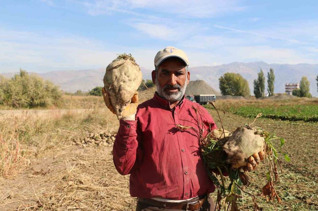 Erzincan’da şeker pancarı üretimi yılda yaklaşık 1 milyar TL boyutunda ekonomik döngü ortaya koyuyor
