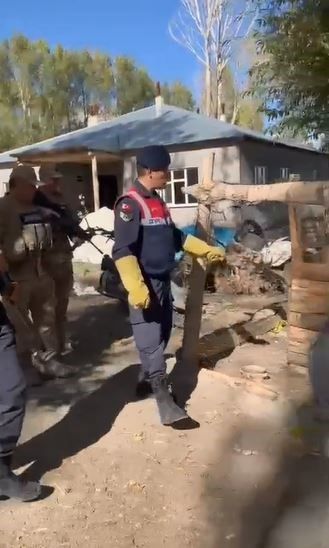 Özalp’te kafeste tutulan kurt kurtarıldı