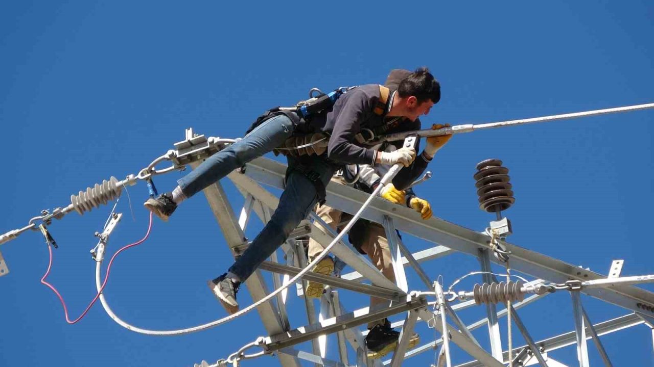Van’da 31 kilometrelik enerji hattı tamamlandı: Çalışmalarda yabani kuşlar gözetildi
