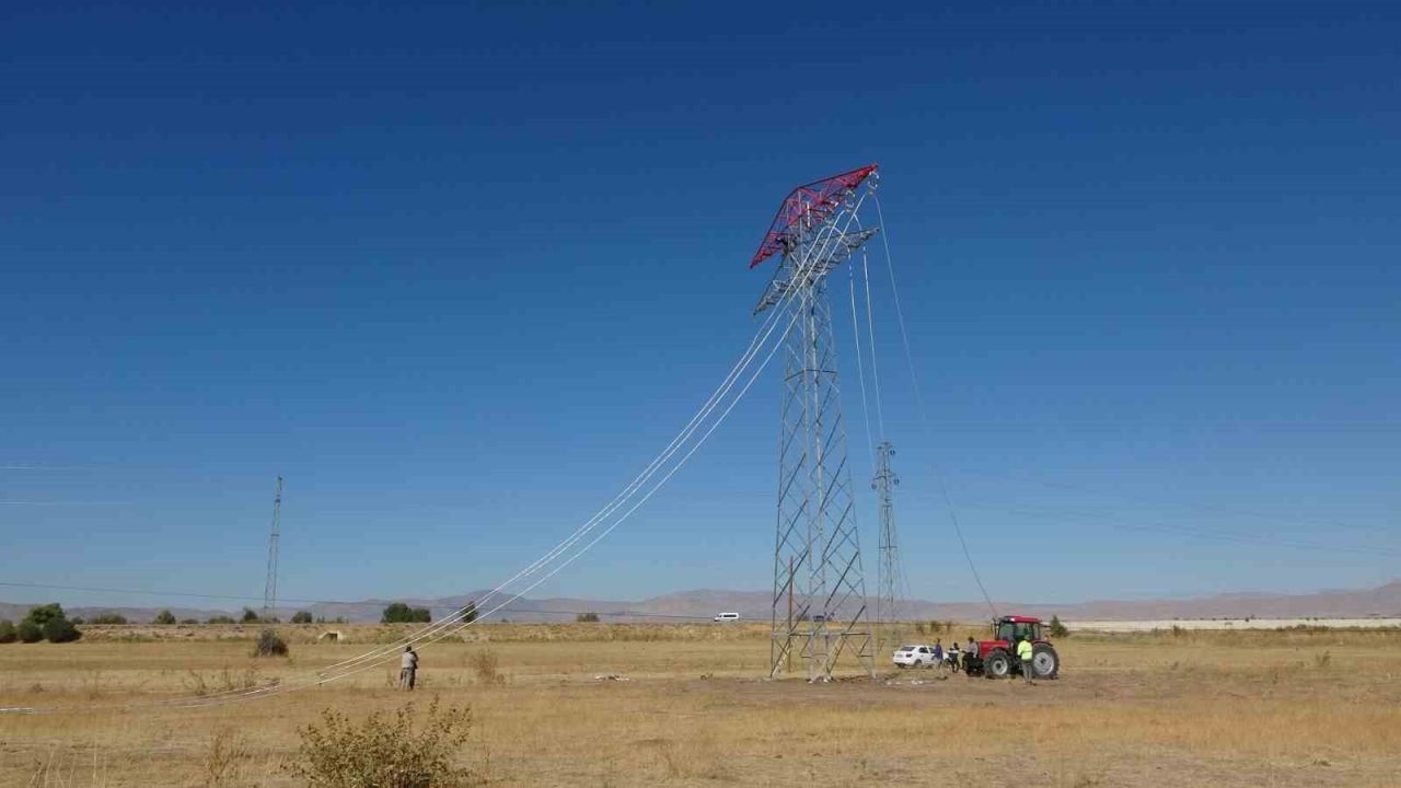 Van’da 31 kilometrelik enerji hattı tamamlandı: Çalışmalarda yabani kuşlar gözetildi