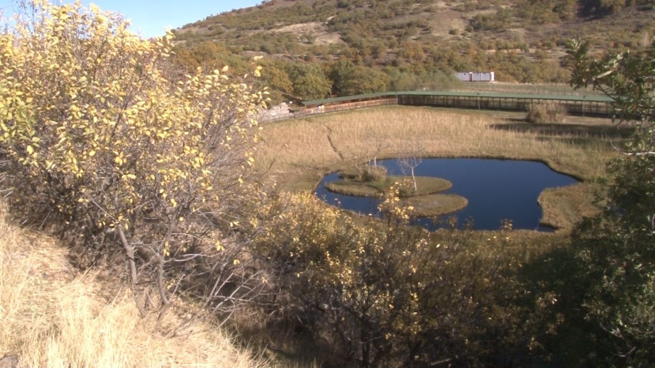 Bingöl Solhan'daYüzen Adalar’da sonbahar güzelliği