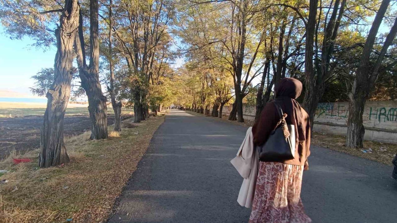 Van’da sonbahar renk cümbüşü